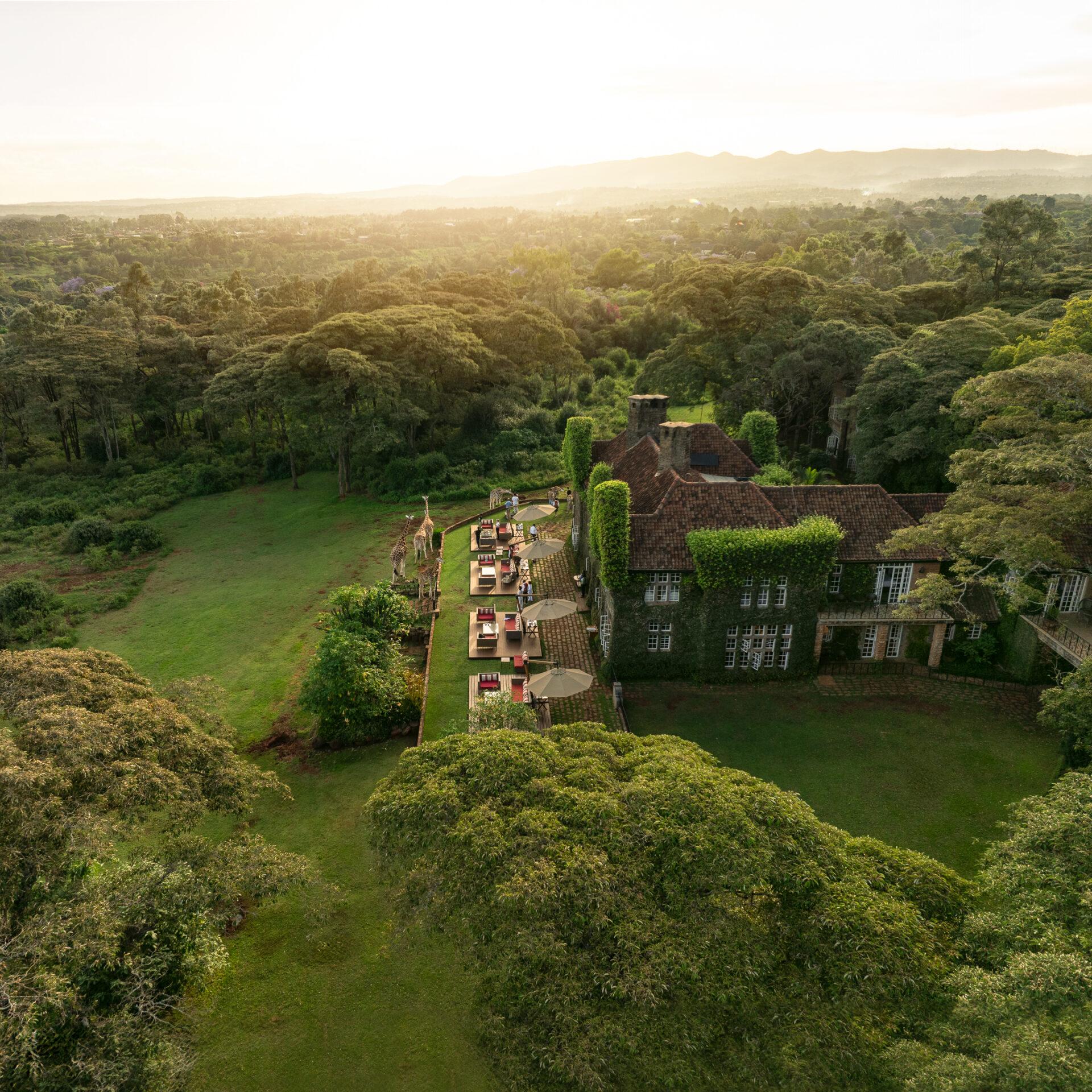 thedronebook_Giraffe_Manor3