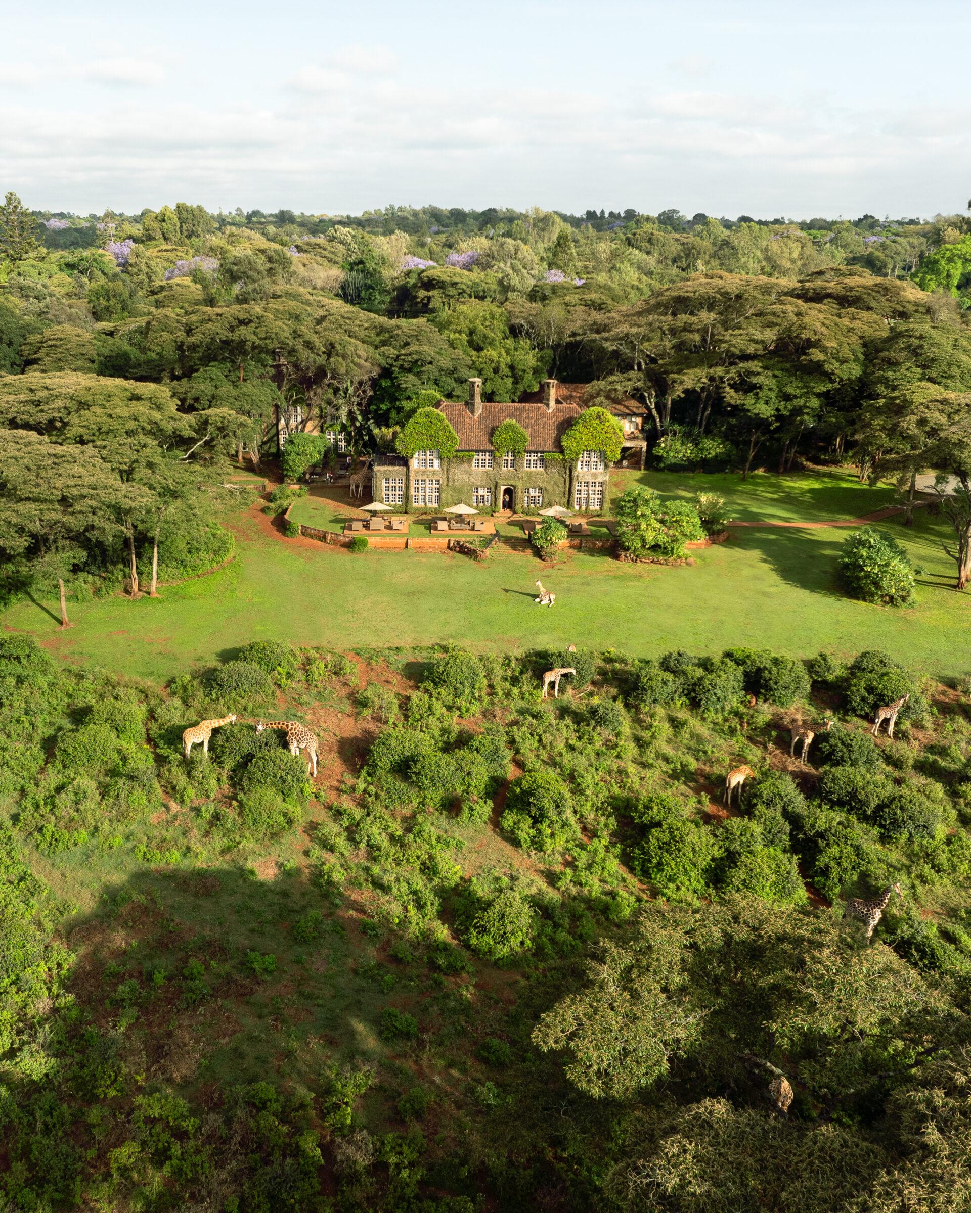 thedronebook_Giraffe_Manor4