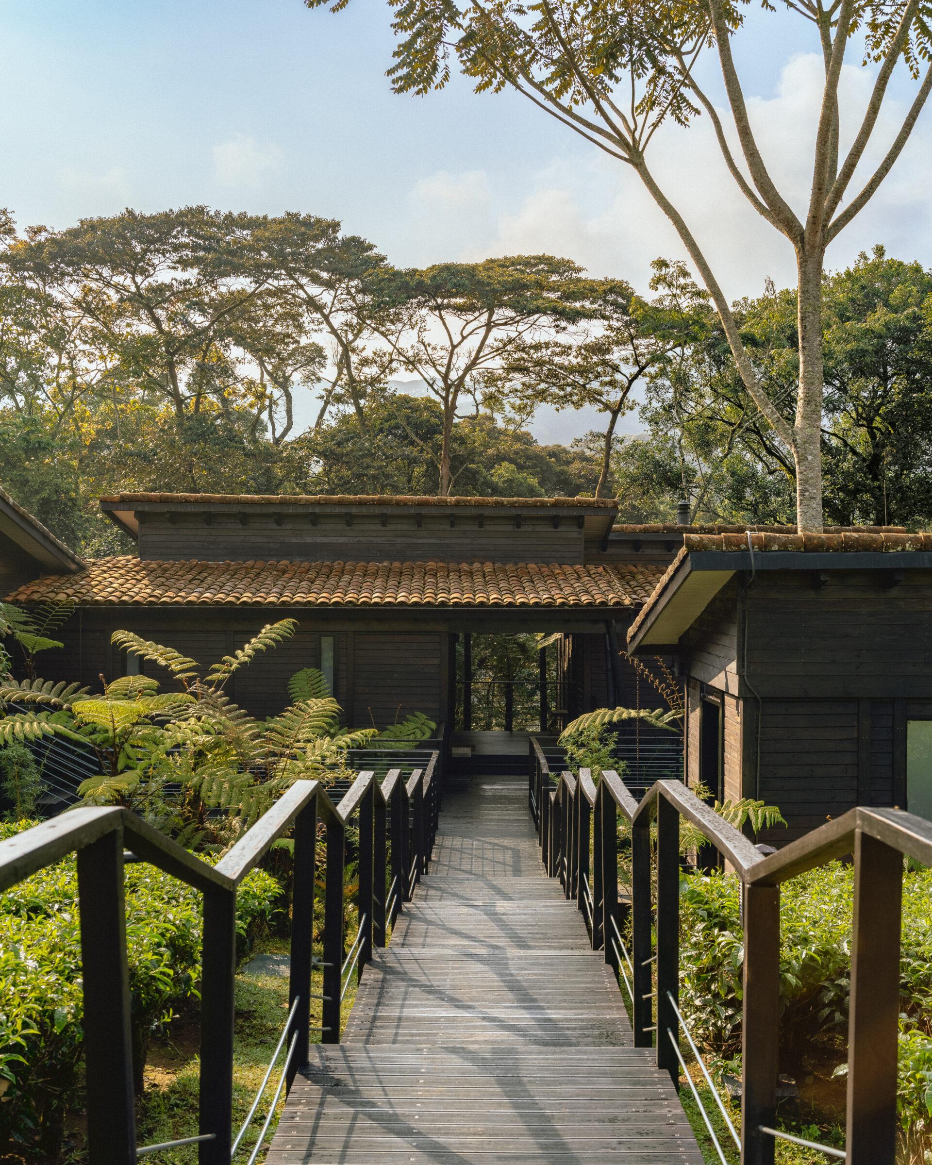 thedronebook_OneAndOnly_Nyungwe_House12