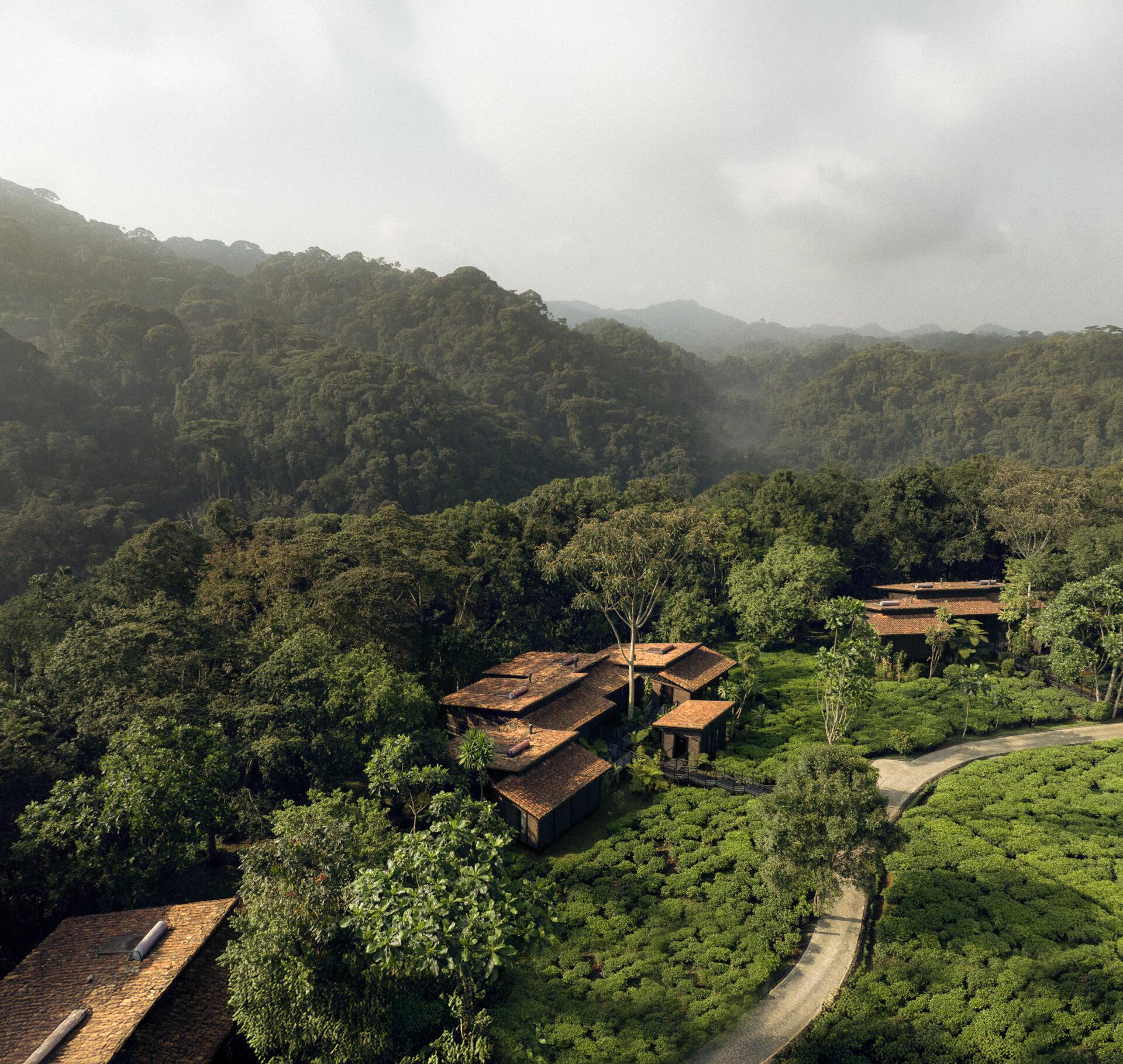thedronebook_OneAndOnly_Nyungwe_House2