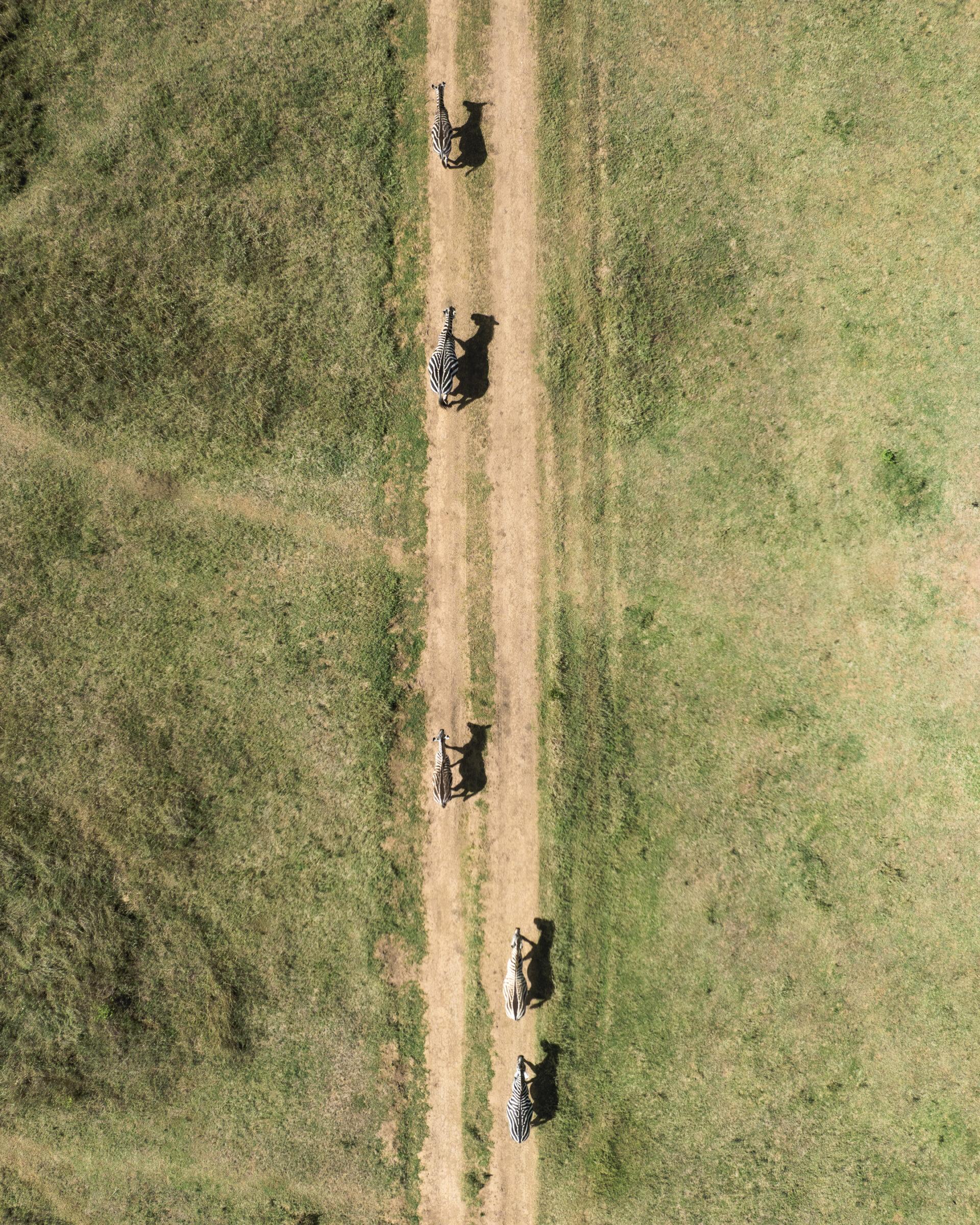 thedronebook_Solio_Lodge_Kenia10