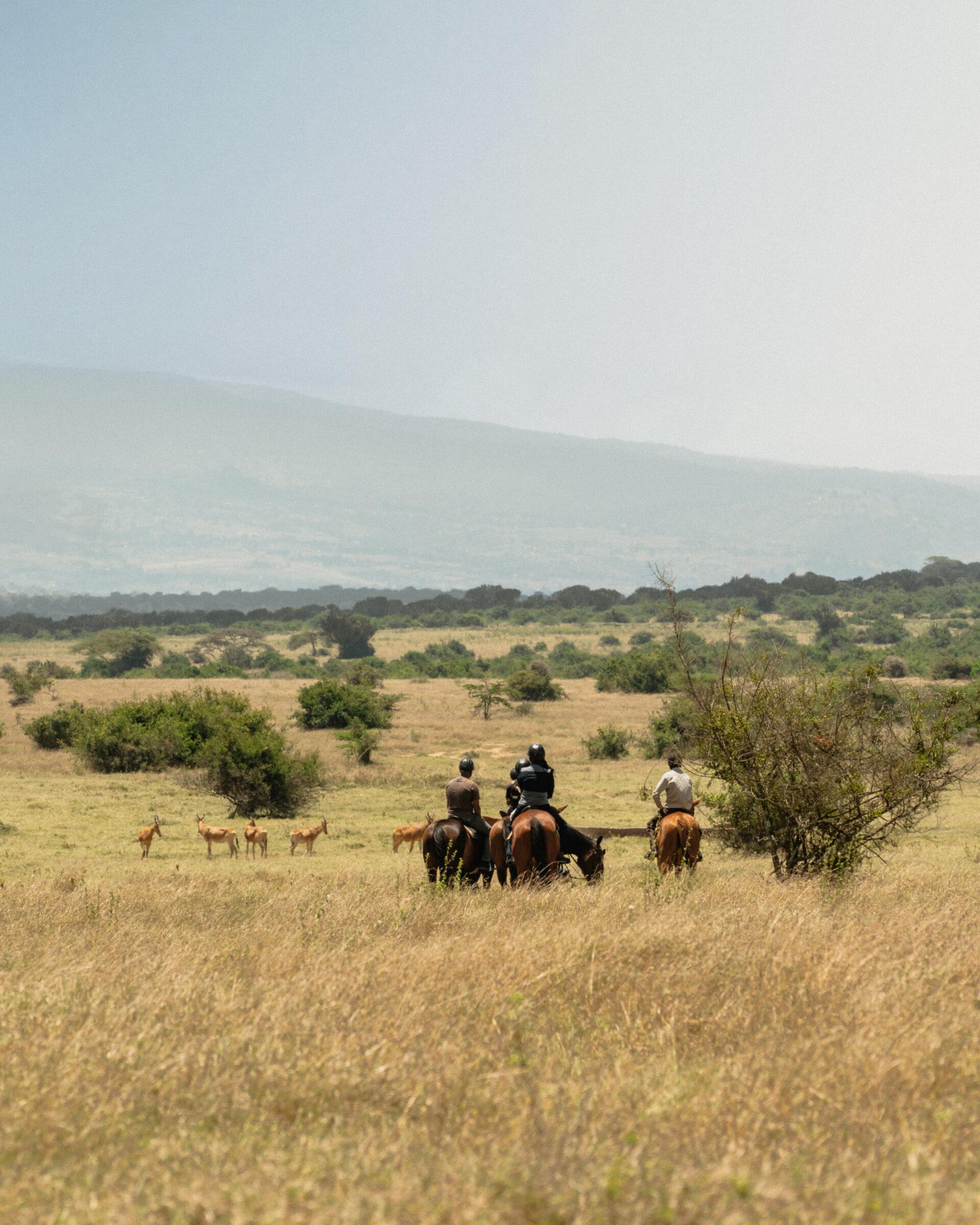 thedronebook_Solio_Lodge_Kenia36