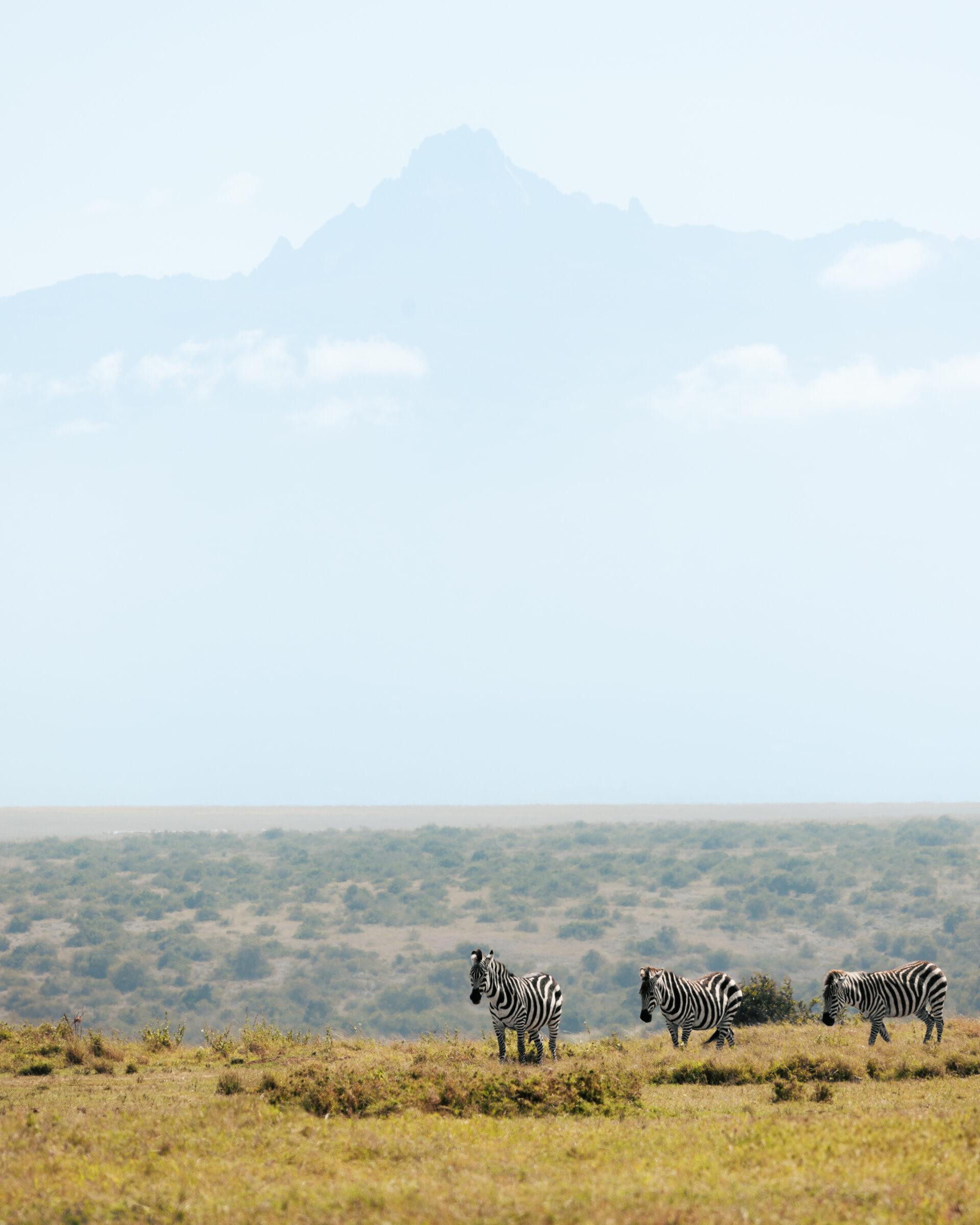 thedronebook_Solio_Lodge_Kenia4