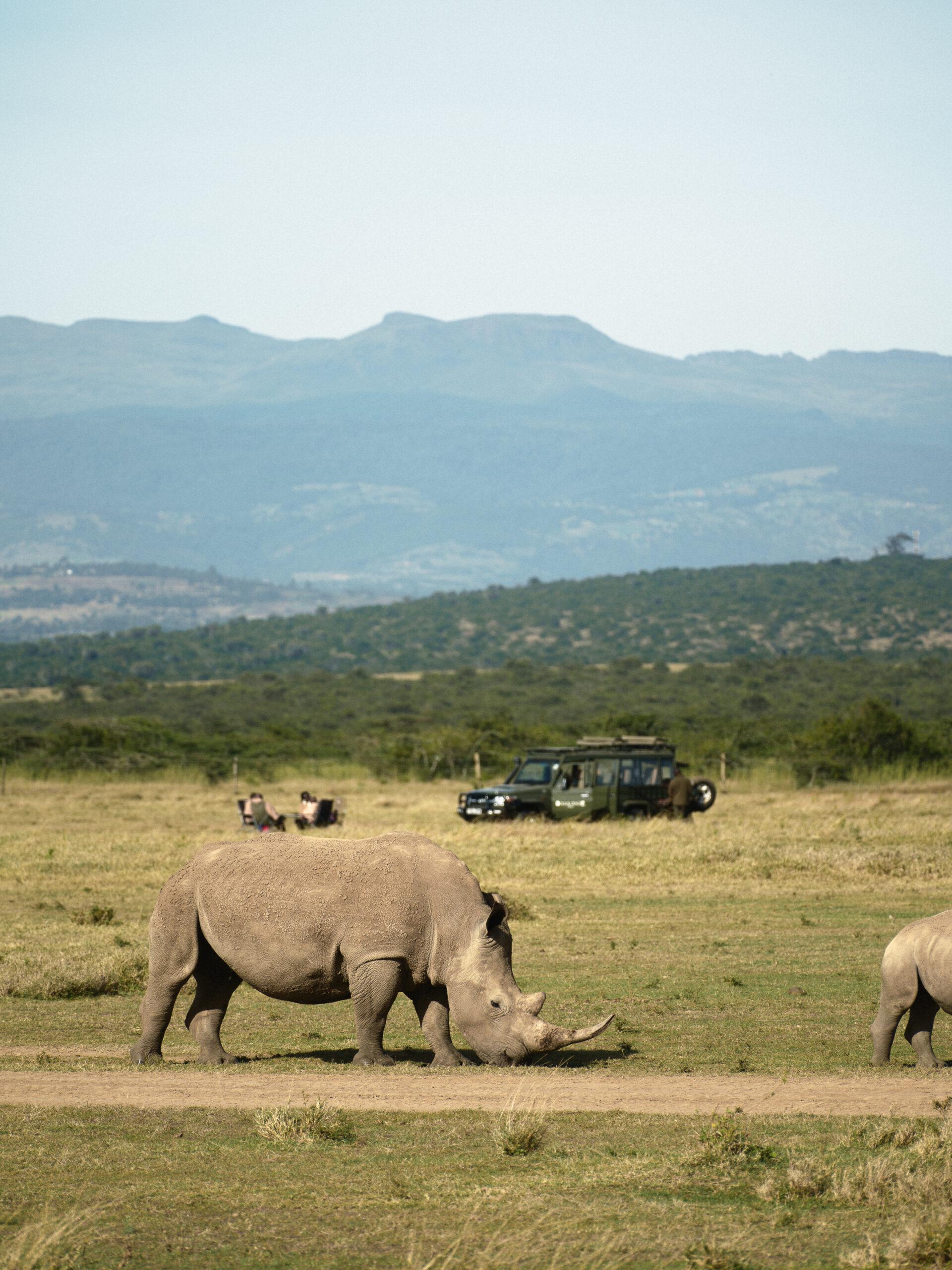 thedronebook_Solio_Lodge_Kenia42