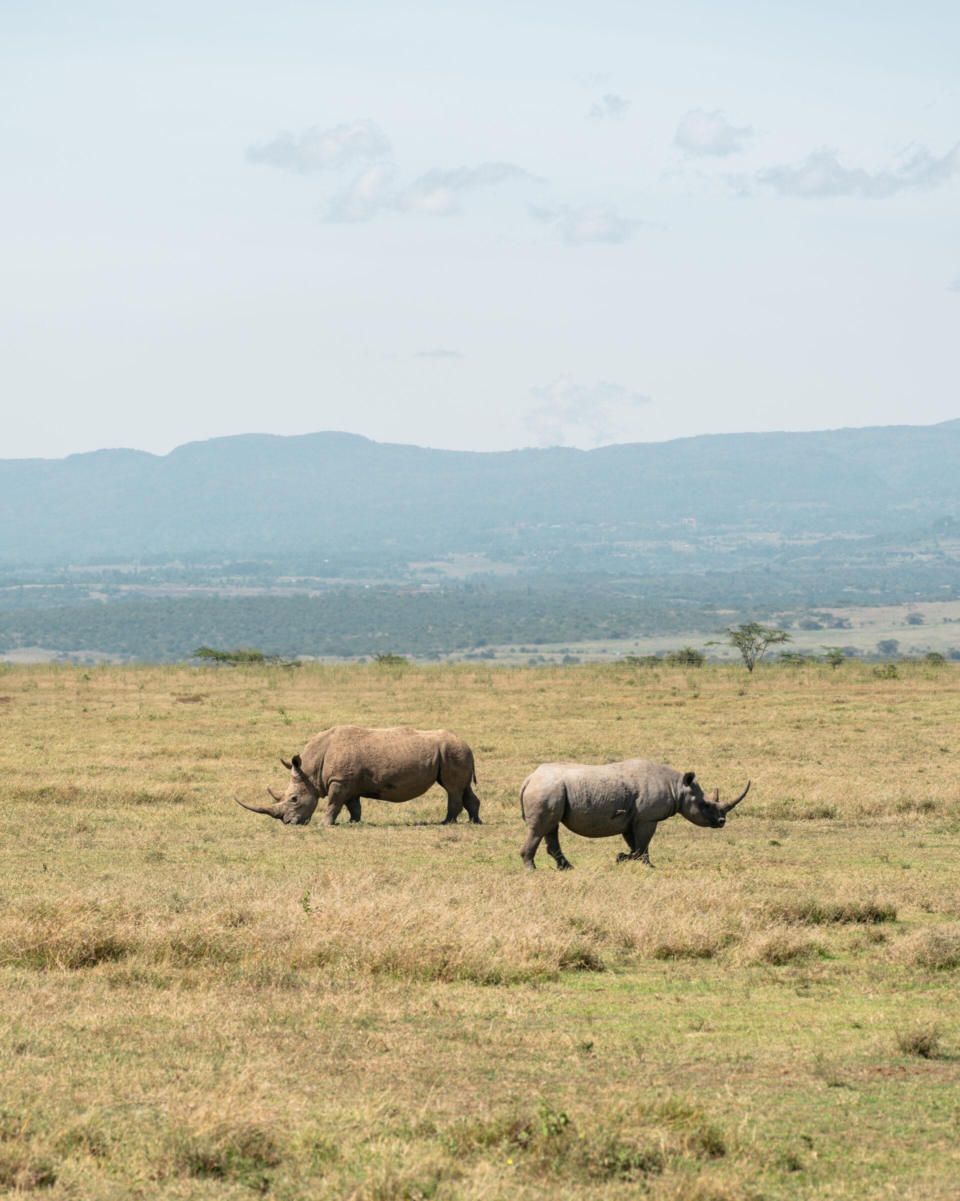 thedronebook_Solio_Lodge_Kenia45