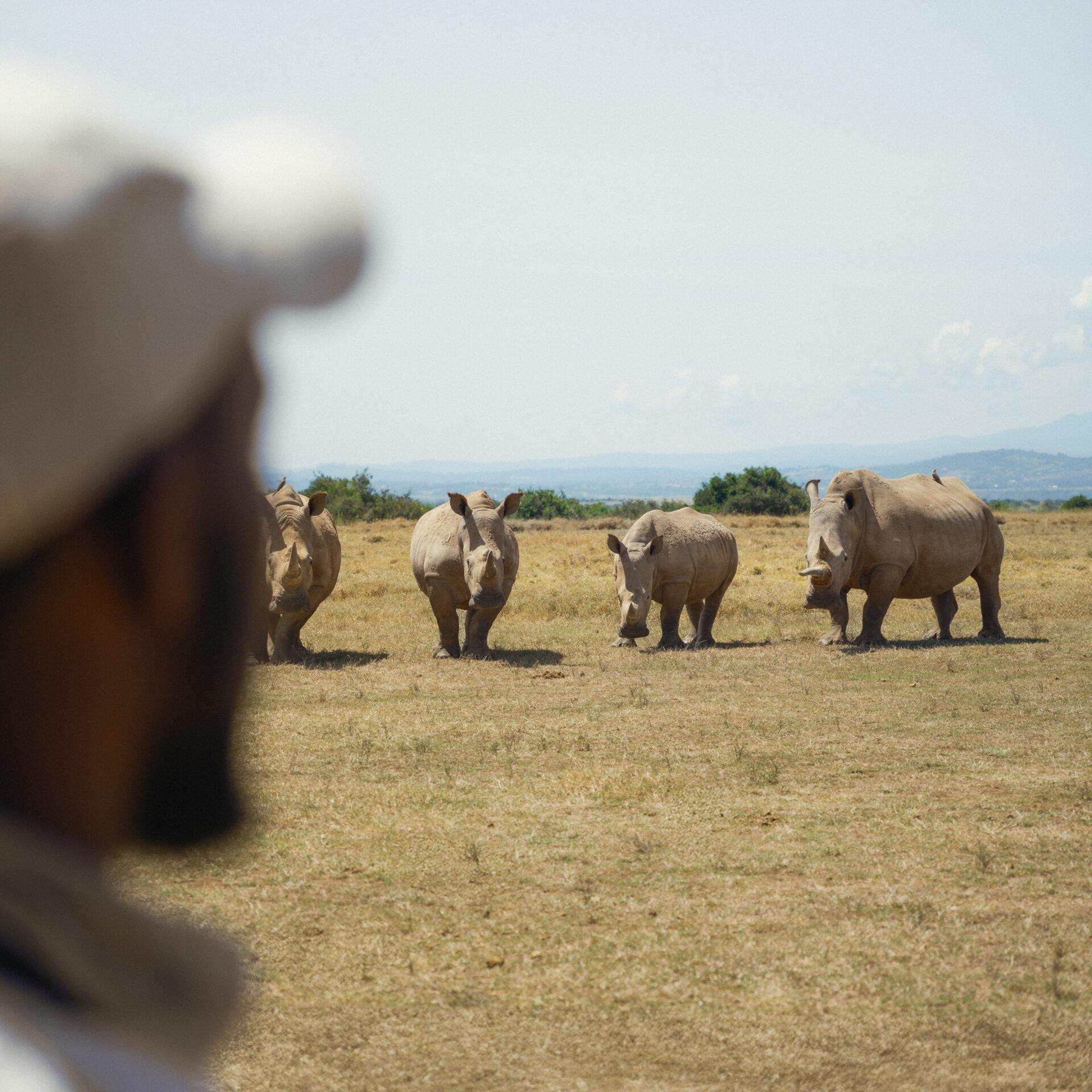 thedronebook_Solio_Lodge_Kenia46