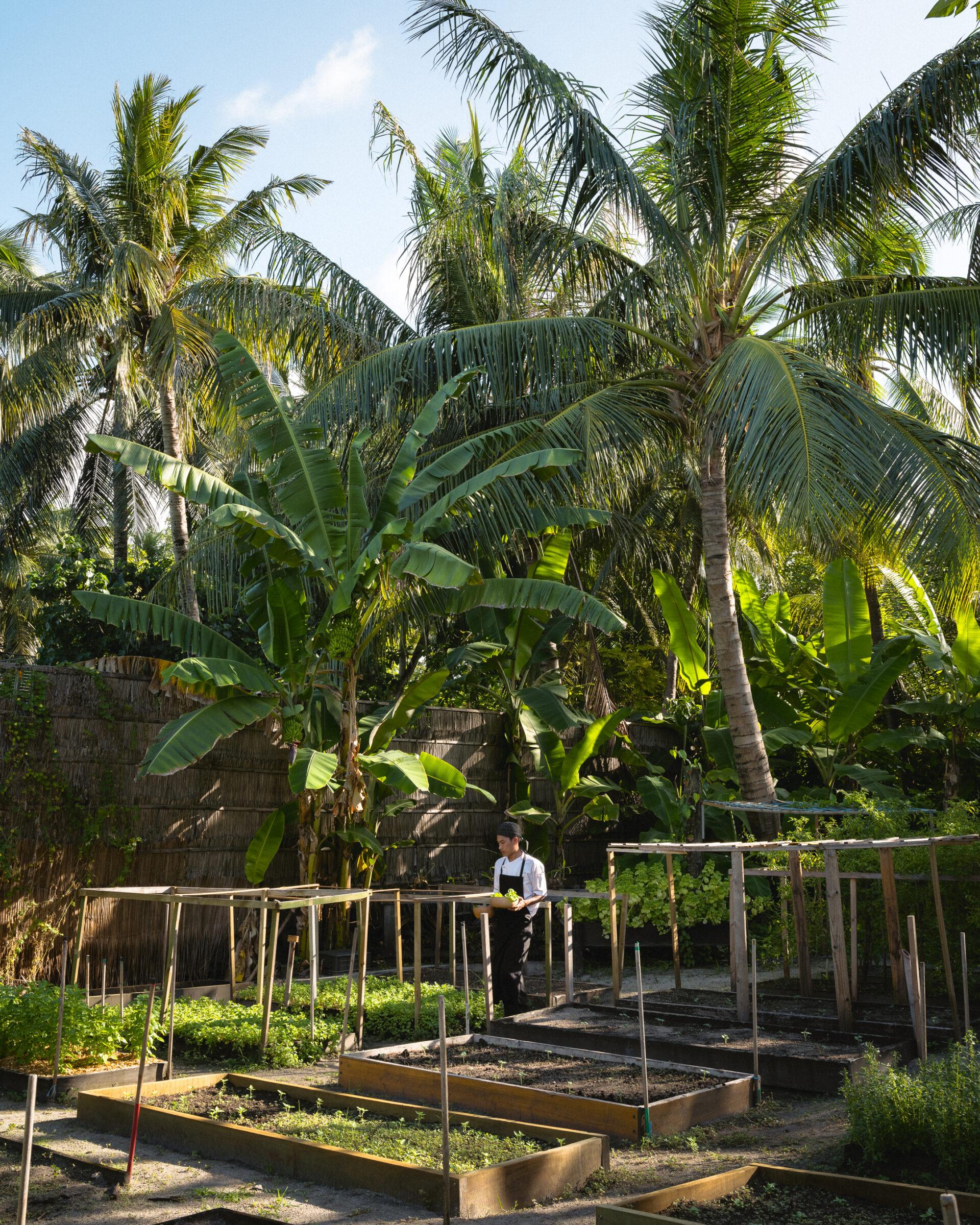 thedronebook_Raffles_Maldives_Meradhoo45