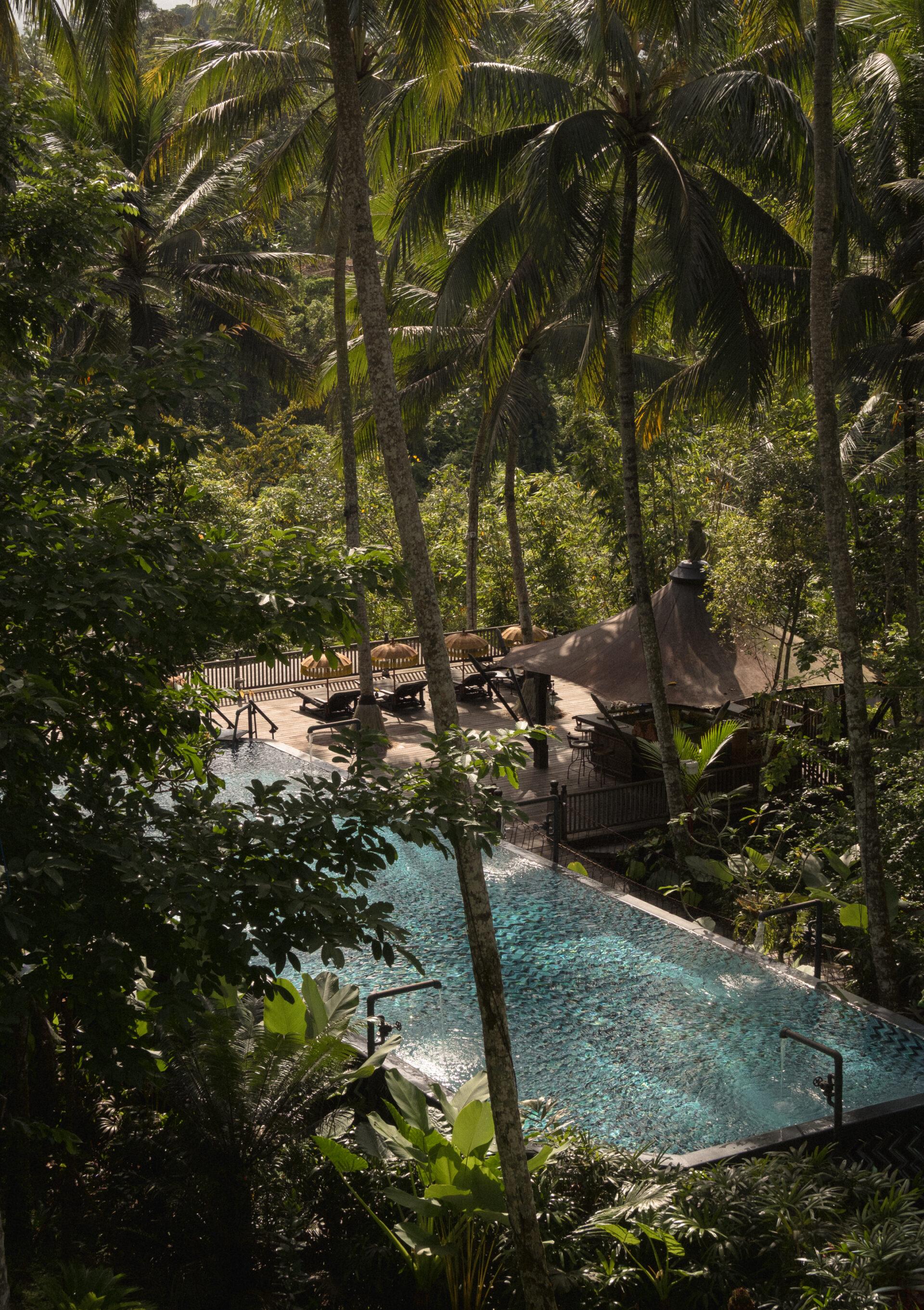 thedronebook_Capella-Ubud-Bali12