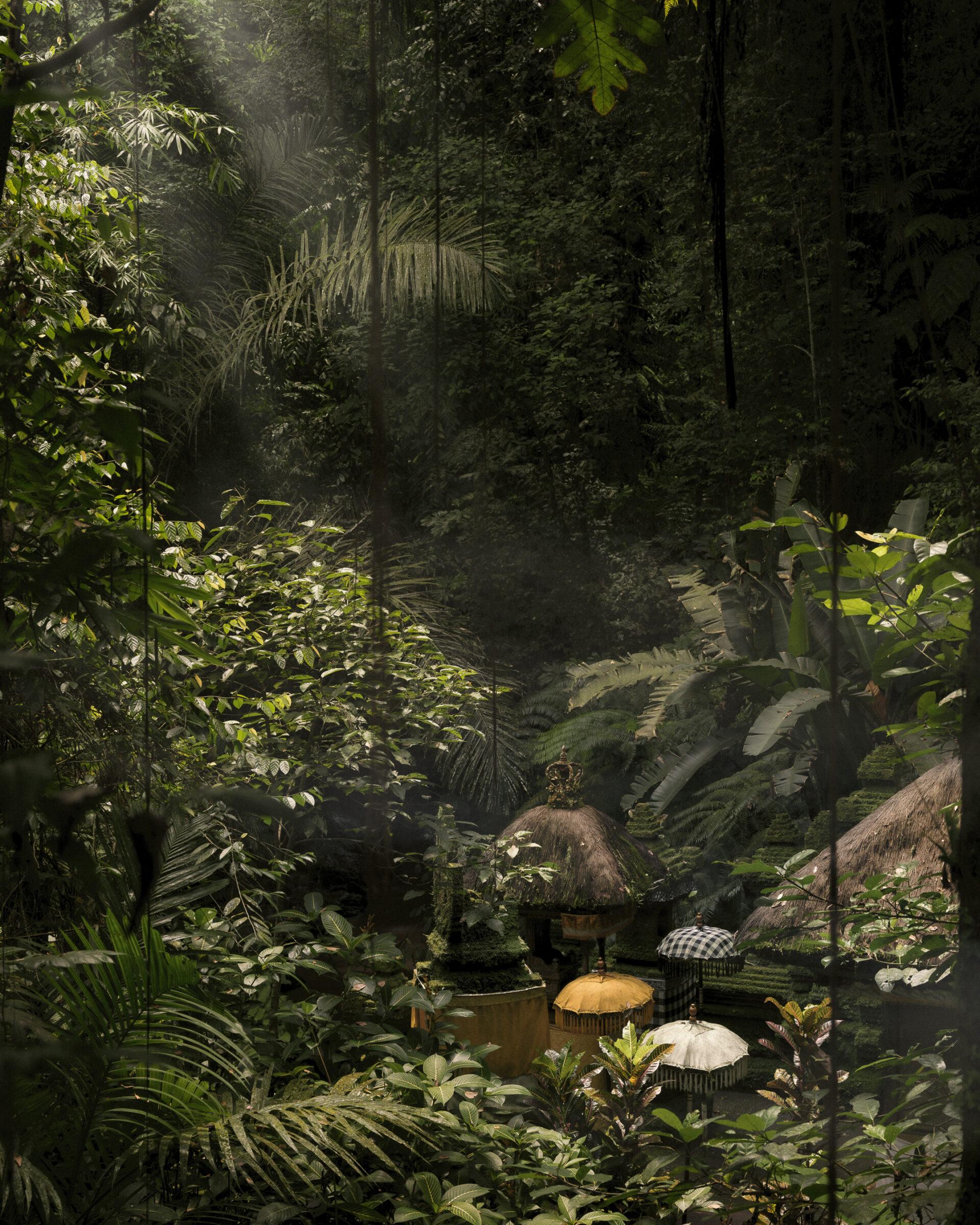 thedronebook_Capella-Ubud-Bali18